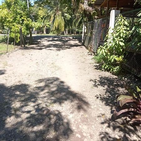 Hotel Cahuita Dış mekan fotoğraf