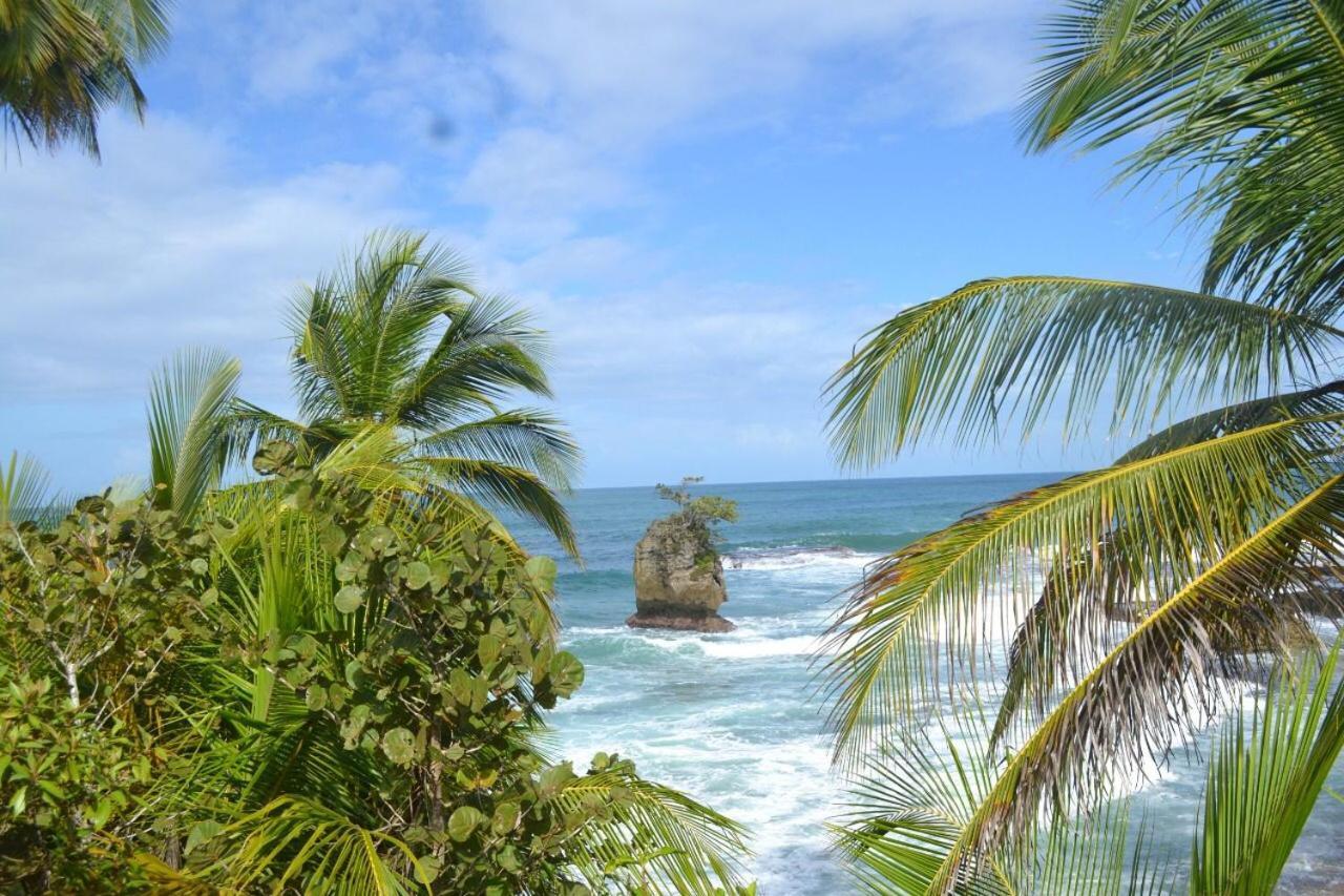 Hotel Cahuita Dış mekan fotoğraf