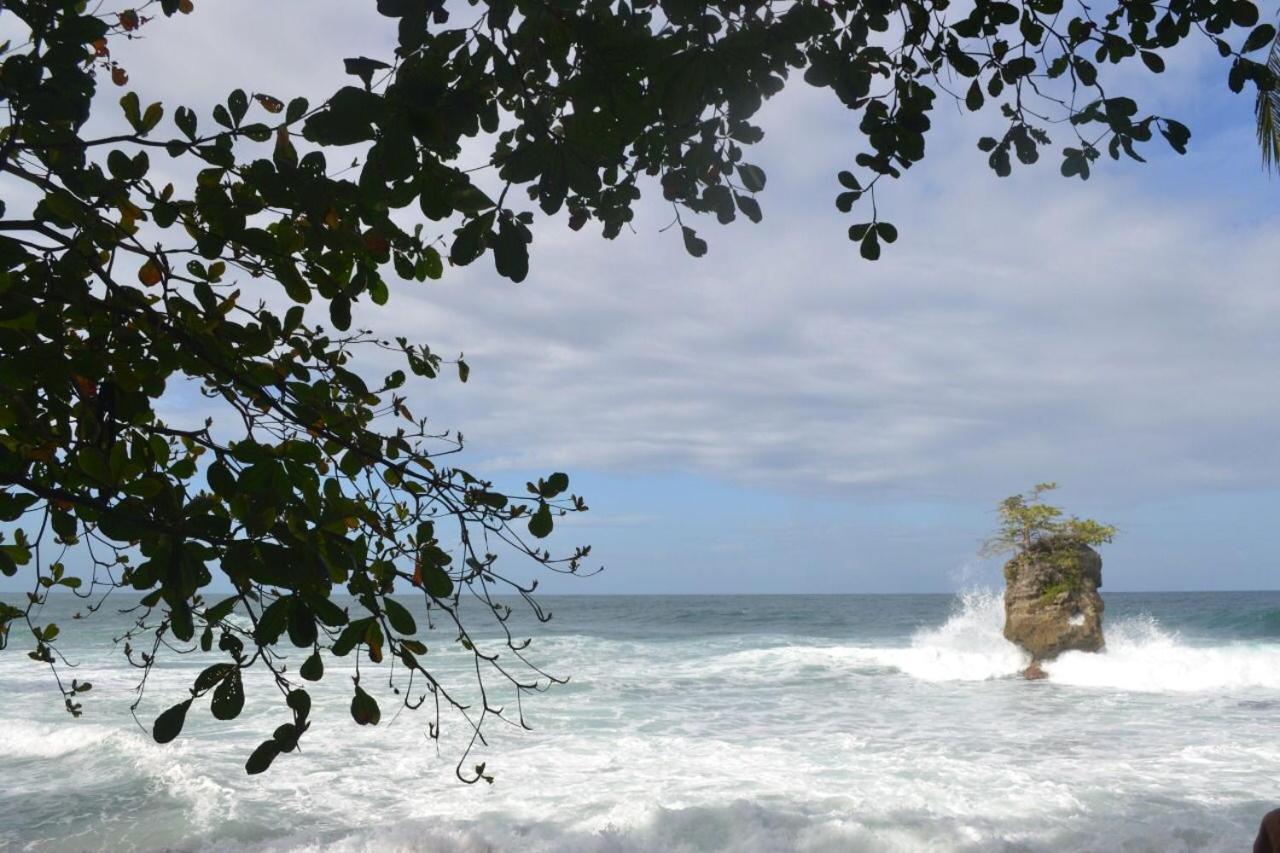 Hotel Cahuita Dış mekan fotoğraf
