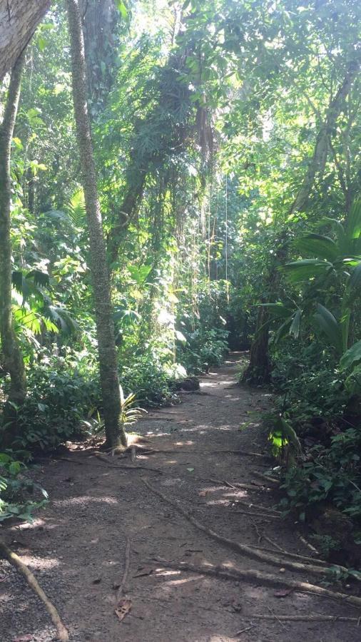 Hotel Cahuita Dış mekan fotoğraf