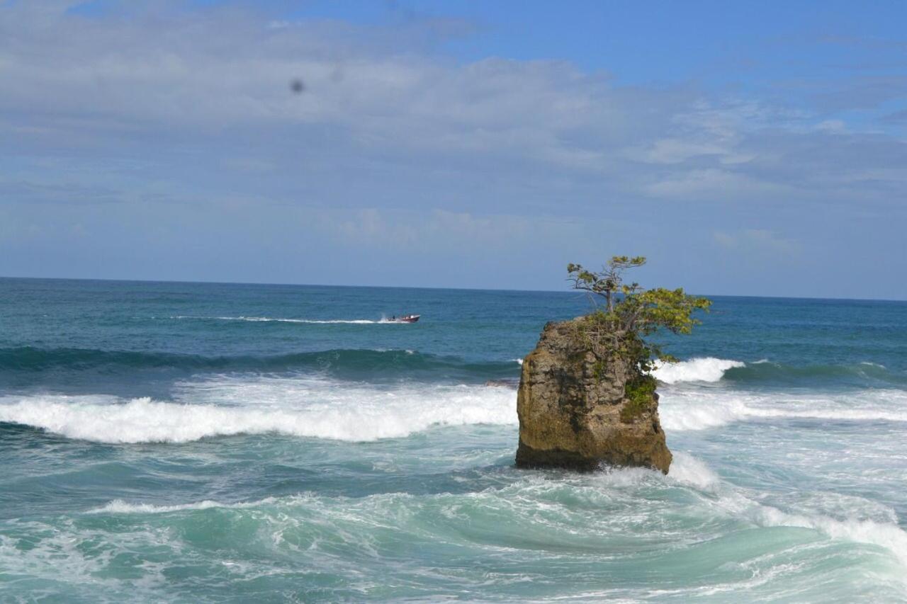 Hotel Cahuita Dış mekan fotoğraf