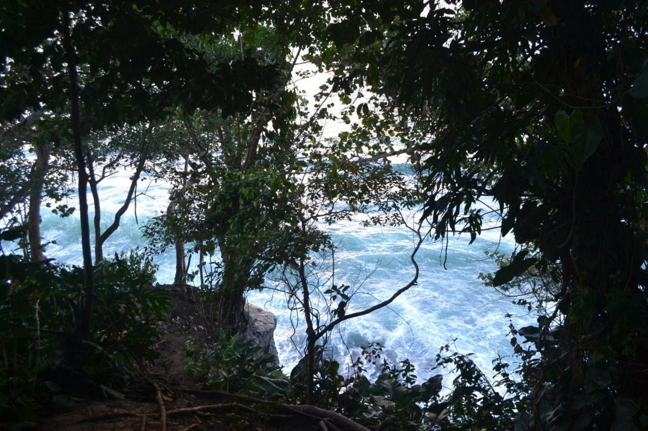 Hotel Cahuita Dış mekan fotoğraf