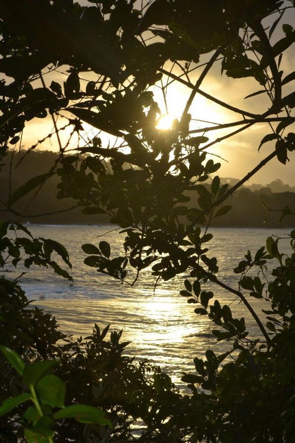 Hotel Cahuita Dış mekan fotoğraf