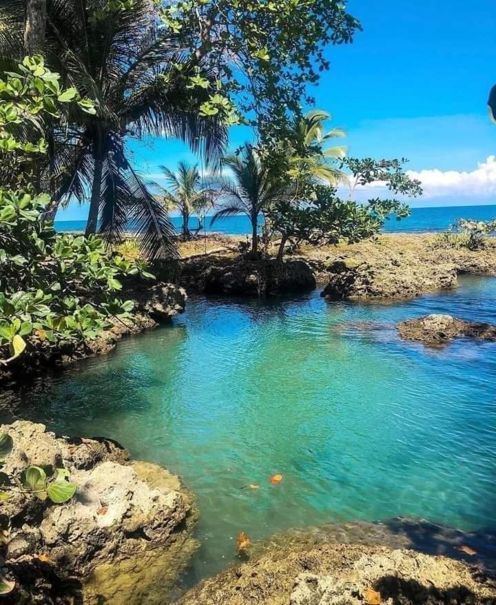 Hotel Cahuita Dış mekan fotoğraf